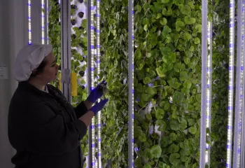 start up agri food tech station v yvelines gally