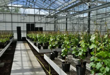 start up agri food tech station v yvelines gally