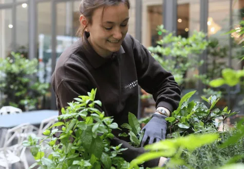 Femme souriant en touchant des plantes aromatiques